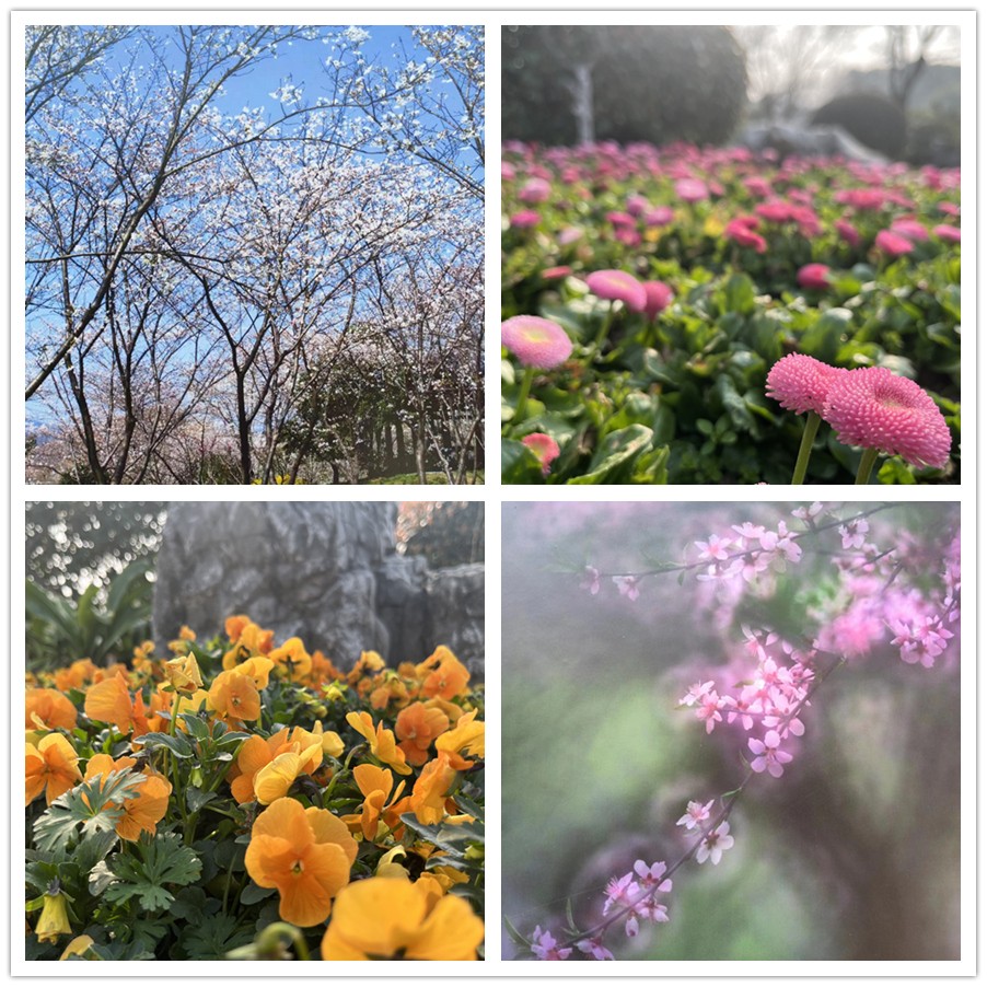 【女神節(jié)專題】一路走來一路拍——于金瀅攝影集之打卡玄武湖、中山陵