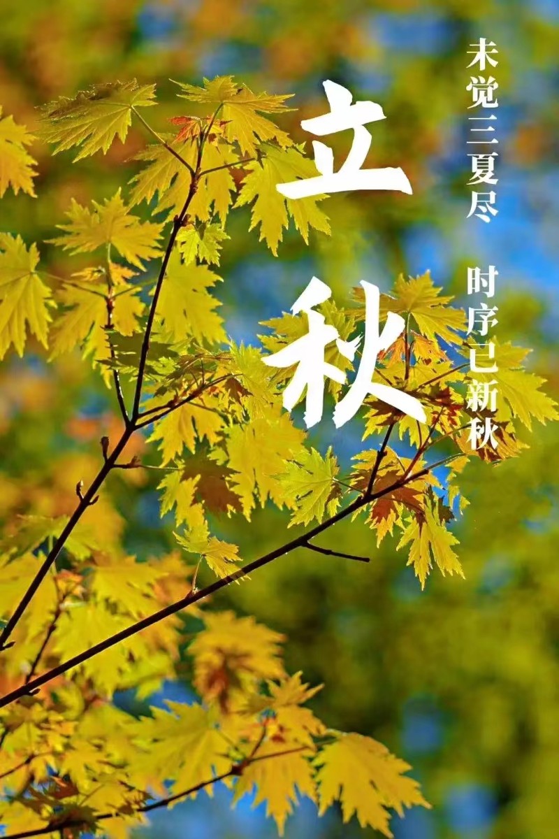 立秋風(fēng)起，心自清涼