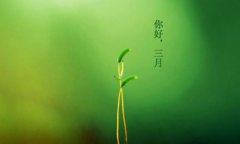 你好，三月！